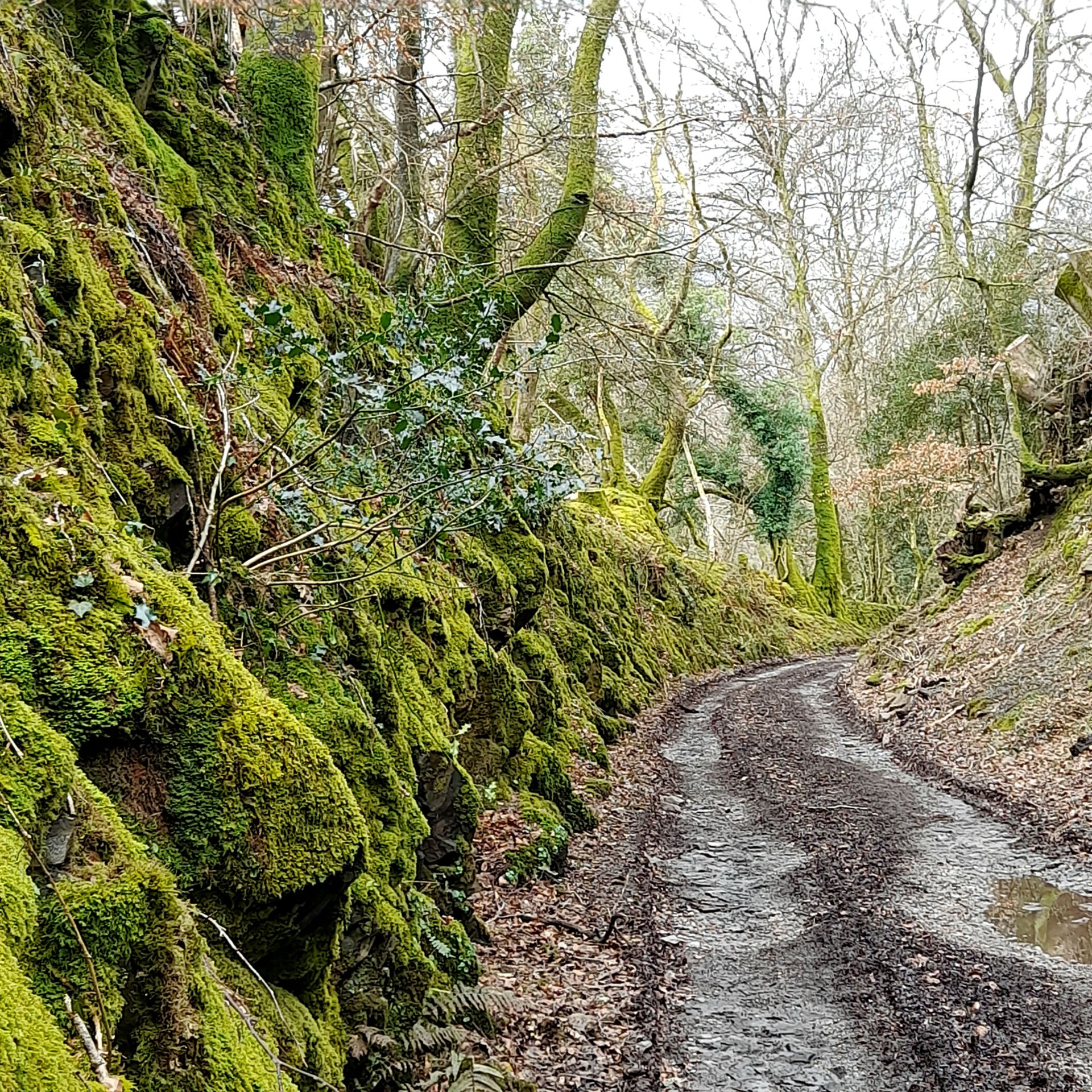  Track to Dewerstone